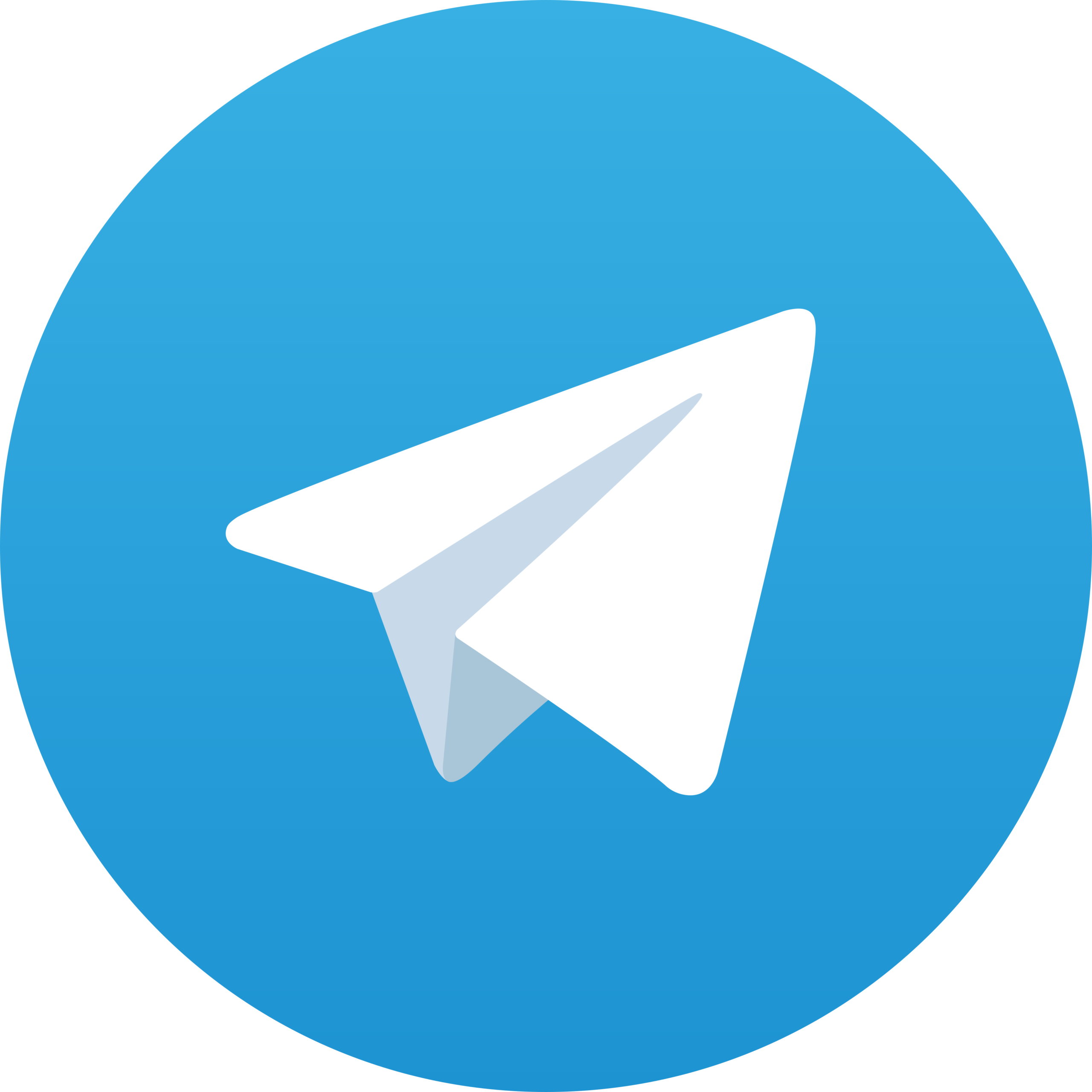 Telegram Channel